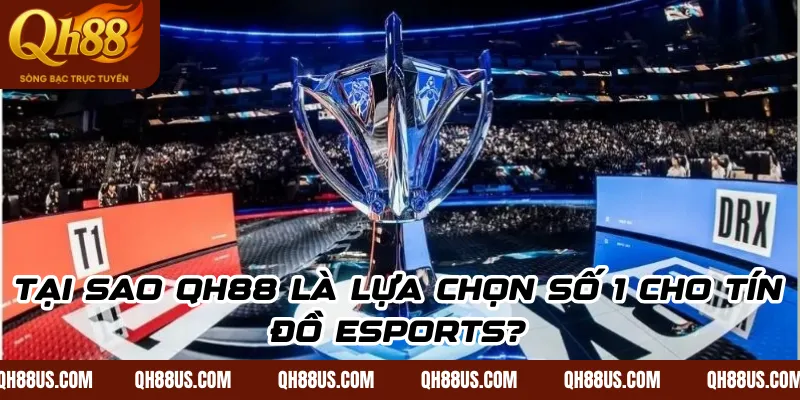 Tại sao QH88 là lựa chọn số 1 cho tín đồ Esports?